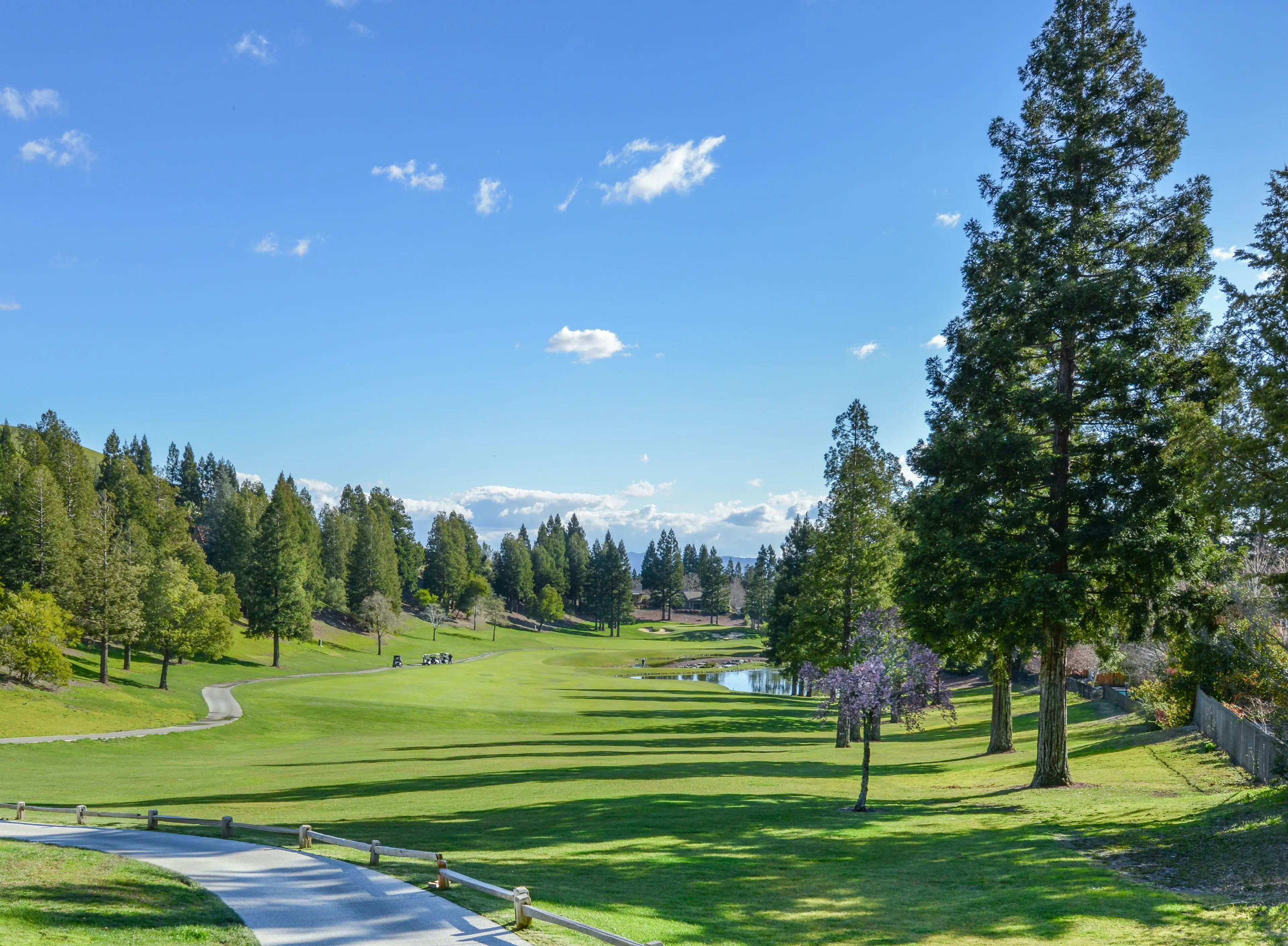 Čistý vzduch v parku